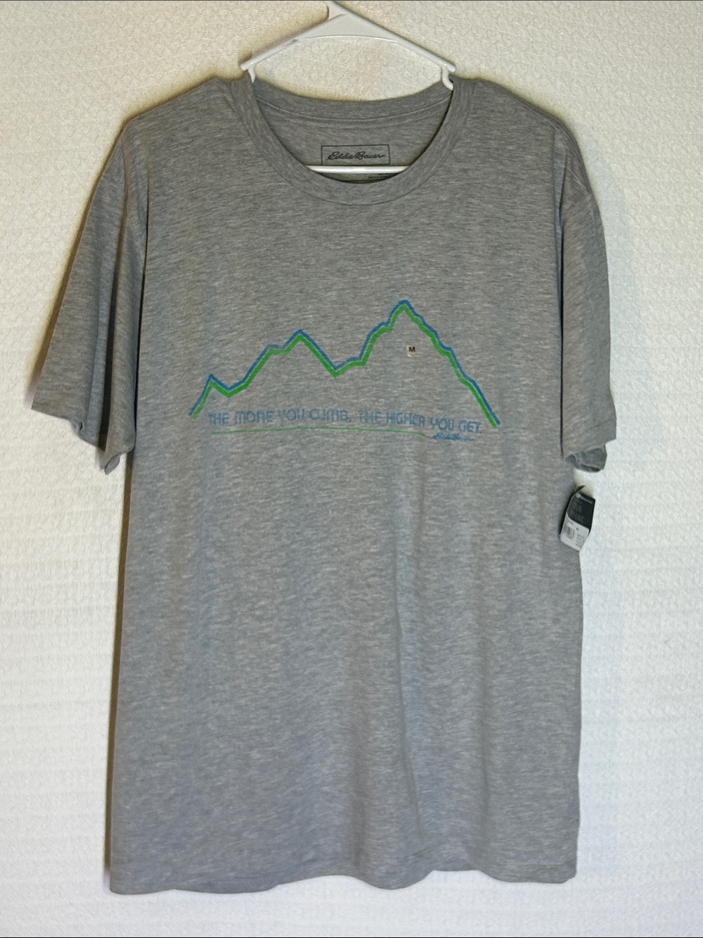 Eddie Bauer Gray Tee with Green & Blue Mountain Graphic